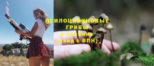 мет Осташков