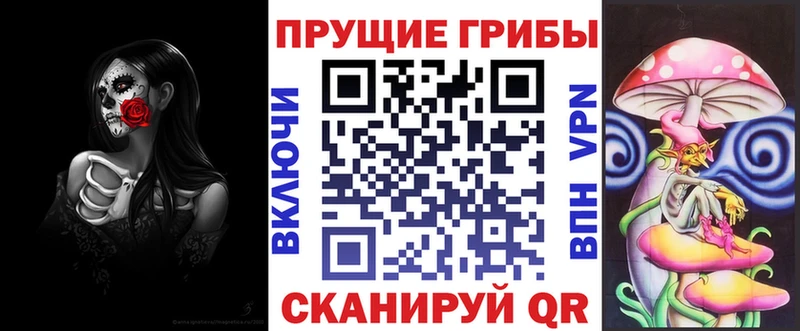 Псилоцибиновые грибы мицелий Барыш